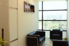 Smylife Dental2